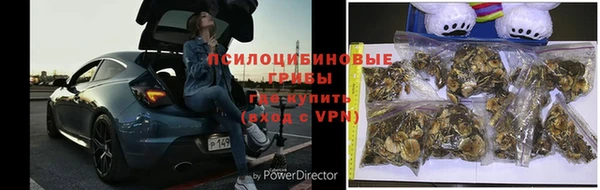 твердый Алзамай