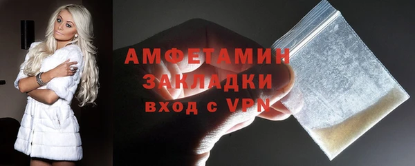 индика Алексин