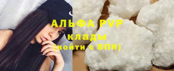 сатива Алексеевка