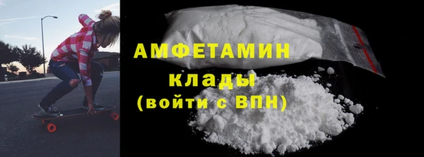 индика Алексин