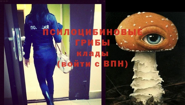 индика Алексин