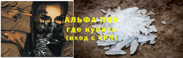 сатива Алексеевка
