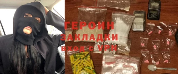 индика Алексин