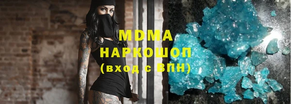 индика Алексин